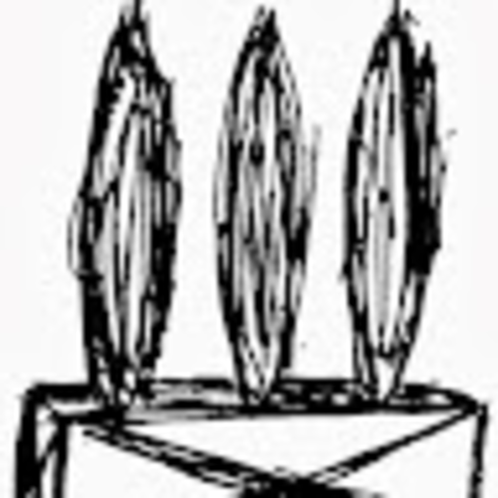 Meet your Posher, Rostin